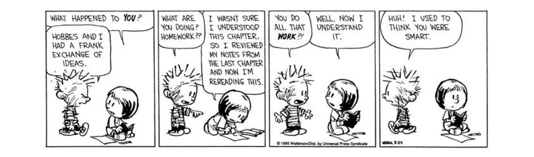 Calvin and Hobbes Cartoon